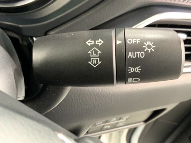 便利なオートライト付です。