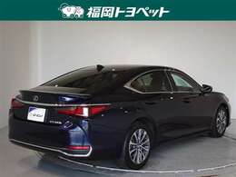 色はきれいなディープブルーマイカです。