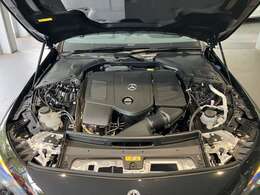 衝突エネルギーを効果的に吸収・分散するフロントセクションです。万が一の衝突時のために、高い乗員保護性能を確保しています。