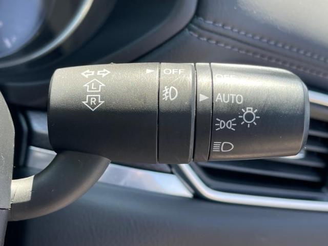 国産車から輸入車まで多様なお客様のニーズのお応えできるように、全国規模で豊富な在庫展開！車のことならWECARSへ！