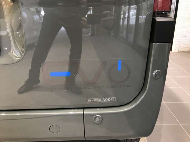 リアドアとテールゲートでEVであることをスマートにアピールできますね。