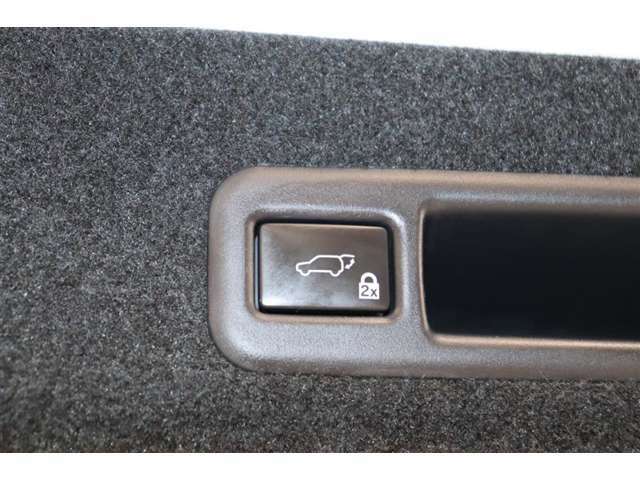 ボタン一つでリアゲートの開閉が可能な「パワーバックドア」を装備しています。