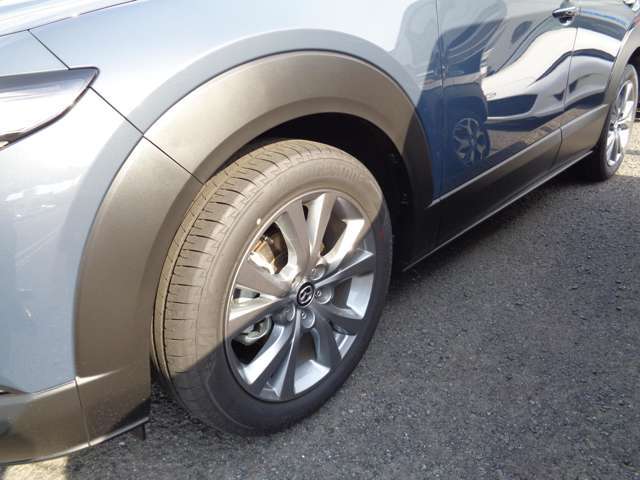 純正アルミで全体的にデザインがまとまっています。車も人も、オシャレはまずは足元からですね。