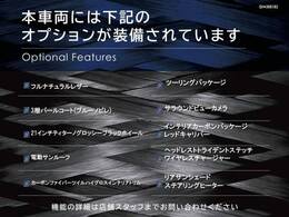 ●オプション一覧