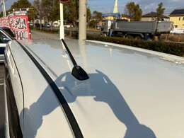 ルーフ：雹害跡