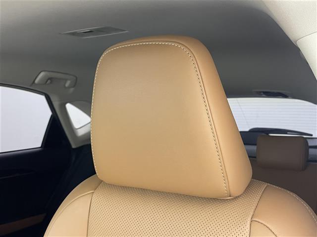 【助手席】『助手席周辺』の画像になります。写真の内容に関してご不明点、ご質問等がございましたらお気軽にガリバー店舗までお問い合わせください。