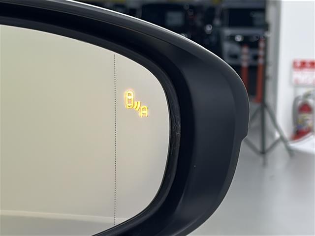 【ドアミラー】大きくて見やすいので、後方を見るときも安心です！