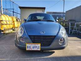 可愛らしいフロントマスク