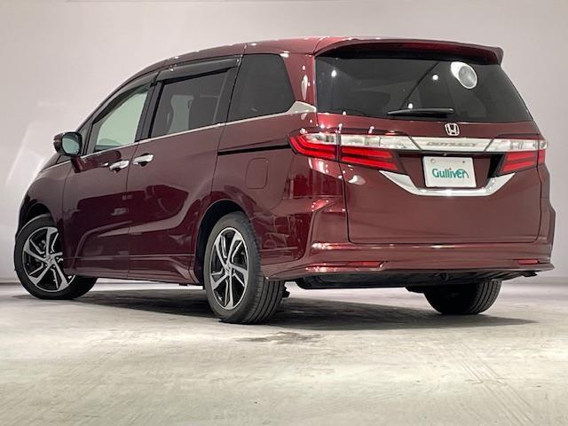 お車を左後ろから見るとこのような感じになります。テールランプやドアバイザー等装備品を確認できます。