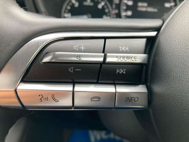ハンドルに装備されたスイッチで、オーディオの音量やチャンネルなどを操作でき、運転中でも安心です。
