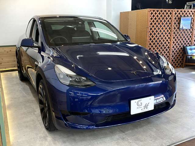 EV車には冷却の為のフロントグリルが不要な分、デザインの自由度があります！