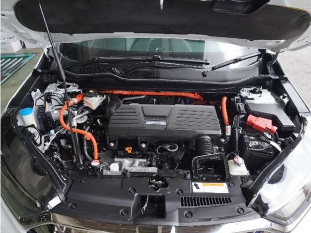 エンジンは車の心臓部分です。このエンジンルームが汚いとトラブルの基になります。当店は専用の液剤を使って徹底的に綺麗にします。