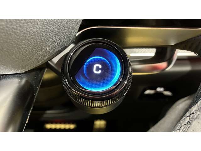 ドアハンドルには握りやすいグリップ形状が採用されています。万一の事故の際など、車内に残された乗員を救出する為、外部からドアを開けやすいようになっています。