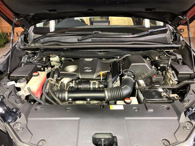 親切・丁寧な専門メカニックスタッフが応対！・車検・点検整備・事故等の修理などアフターサービスも安心。お車のカスタマイズもネクステージのサービススタッフまでご相談ください！