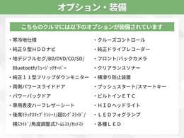 オプション多数装備！オプションの詳細はスタッフまでお気軽にお問い合わせください！