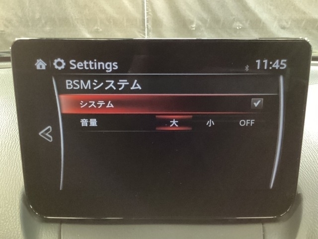 TCS（トラクションコントロールシステム）＆DSC（横滑り防止機構）やBSM（隣車線上の側・後方からの車両接近を通知）、LDWS（車線逸脱警報システム）で安全運転をサポート！