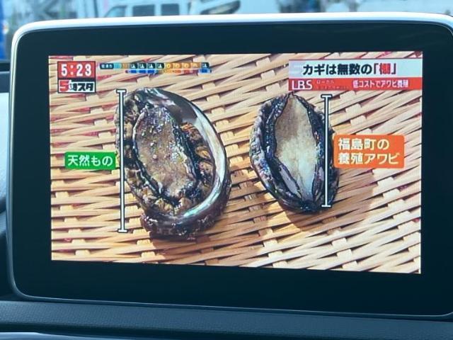 ご購入後の車検やメンテナンスもWECARSにお任せください！自社で整備から修理まで行っておりますので、ご納車後のアフターフォローもお任せください！
