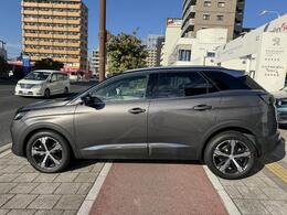 Aピラーからルーフライン、そしてドアシル下部を縁取るクロームライン