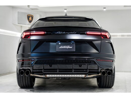Mirror housings in High Gloss Black