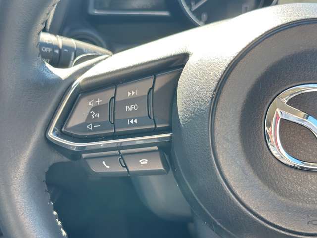 ハンズフリー機能付！しっかり前を向いたまま、音量の調節や通話ができます。