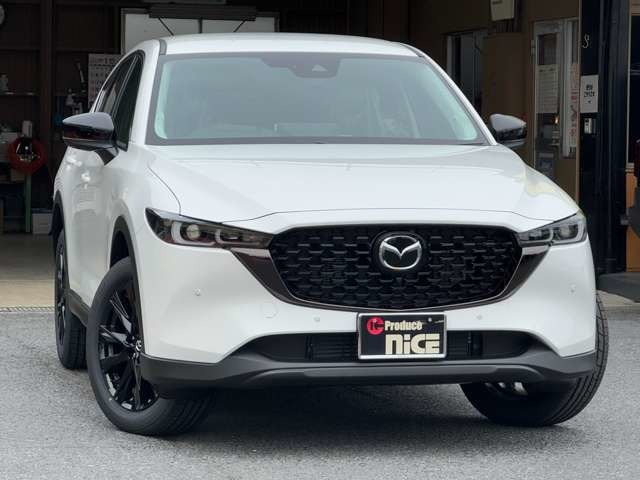 シンプルな構成ながらも車両全体で強い動感を表現しました。