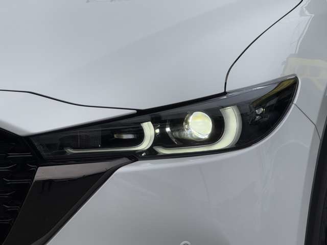 LEDヘッドランプ（ハイ/ロービーム：オートレベリング［光軸調整］機構付）＆ユニット内シグネチャーLEDランプ