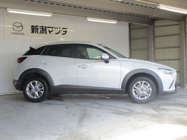 凛とした雰囲気、堂々としたデザインは所有する方だけでなく、見る方も魅了します