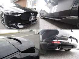 シグネチャースタイル(F/S/Rエアロ