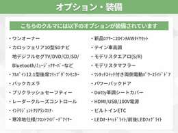 オプション多数装備！オプションの詳細はスタッフまでお気軽にお問い合わせください！