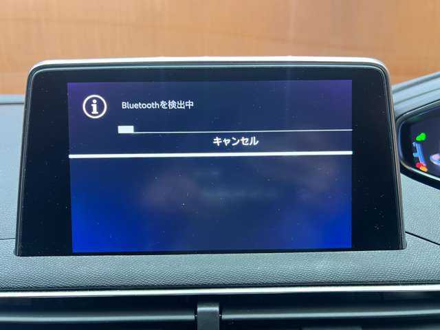 輸入車ディーラー採用のドライブレコーダーも選べます。万が一の事故の際のお守りとしていかがでしょうか？その他様々なオプションをご用意しております。