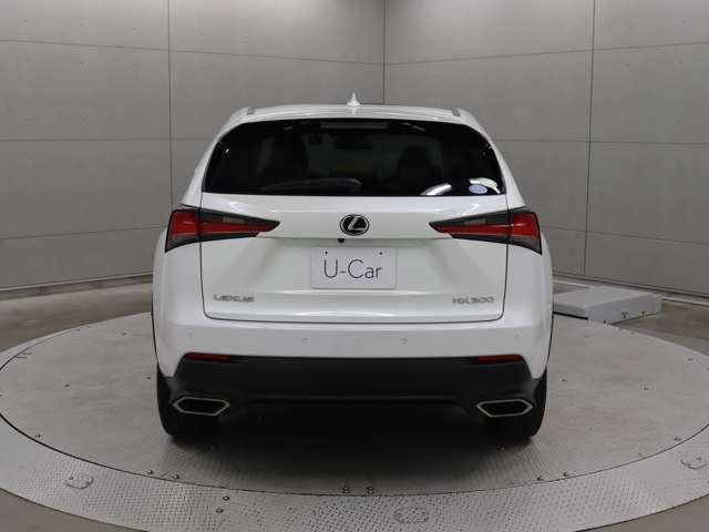 運転席およびバックドアのスイッチ、または電子キーの操作で、バックドアの自動開閉や一時停止が行えます。手動で閉める場合には、イージークローザーが機能し、しっかり閉じるようサポートします。