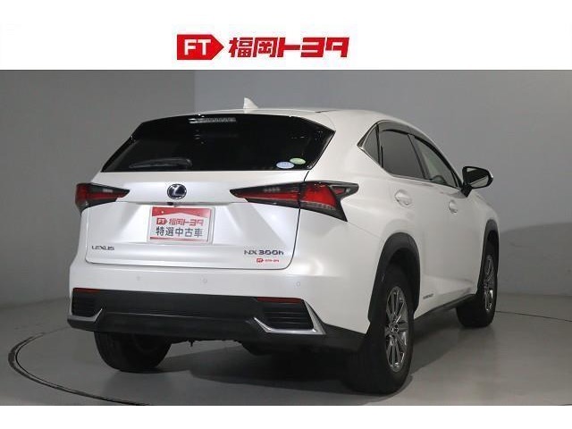 福岡県/長崎県または隣接県で、ご来店可能な方のみ販売させていただきます。