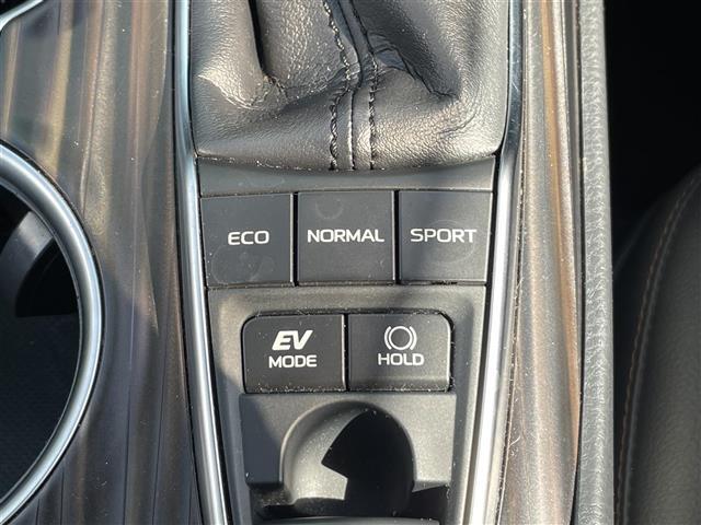 併せてボディコーティングはいかがですか？大切なボディをお守りします。お客様の環境やご要望に合ったプランをご提案いたします。