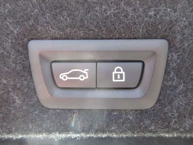 ボタン一つでリアゲートの開閉が可能です。