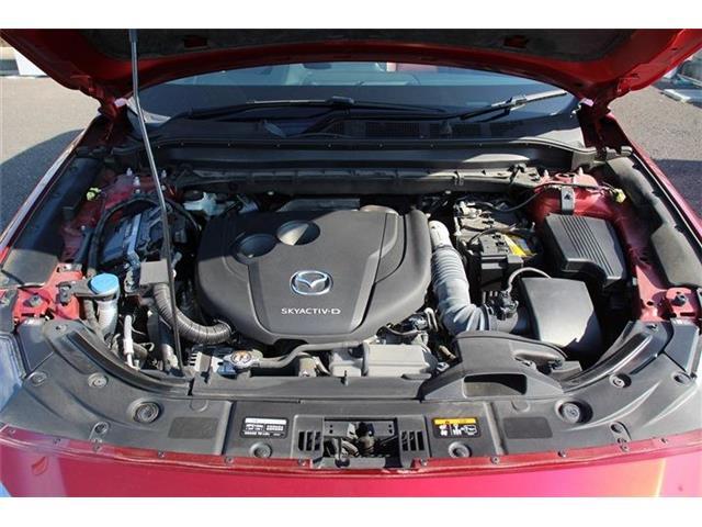 同業者様への販売はお断りさせていただきます。　車検無し車両の場合は、車検を取得したお支払い総額で表示しております。
