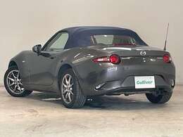 お車を左後ろから見るとこのような感じになります。テールランプやドアバイザー等装備品を確認できます。
