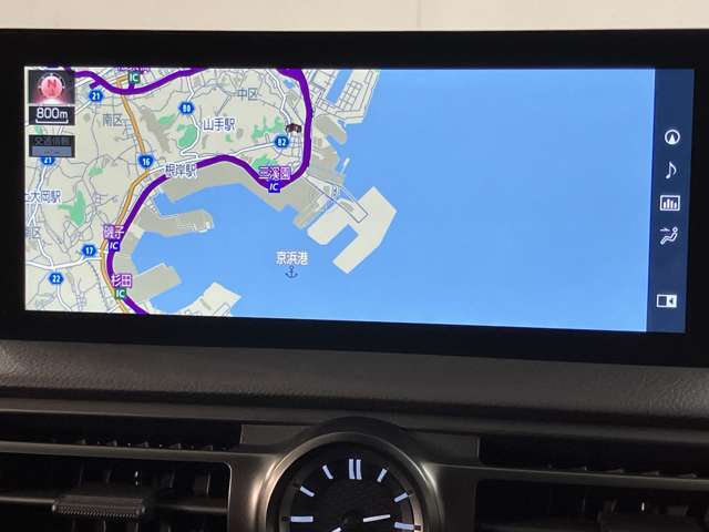 高級感を演出し、ゴージャスな気分を十分に味わえます。