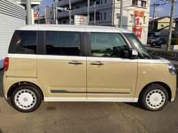 右横からの画像です