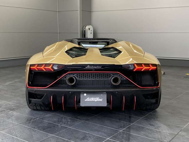 SVJよりハイポジション・エキゾーストにより、更に大型化されたディフューザー。