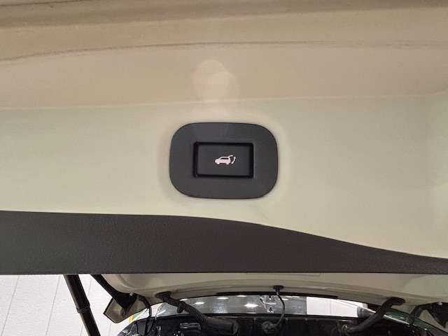 パワーバックドアは便利でちょっと優越感。