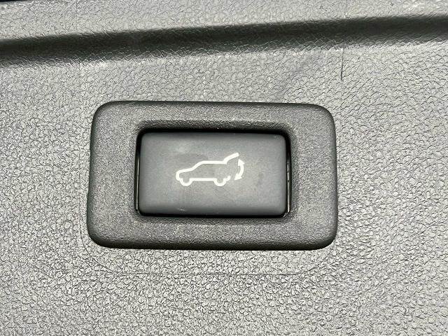 【電動リアゲート】ボタンひとつで大きなゲートも簡単に開閉可能です。