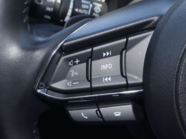 ステアリング左側にはオーディオコントロールスイッチを搭載。走行中でも簡単に音量の上げ下げ、曲の送り戻し、モードの切り替えが可能です。クイックに切り替えてお好みの音楽で楽しいドライブを！