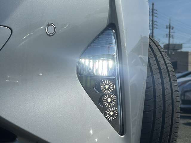 フォグランプ♪