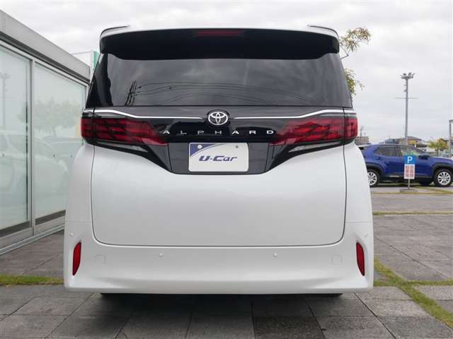 真後ろから見た状態です。