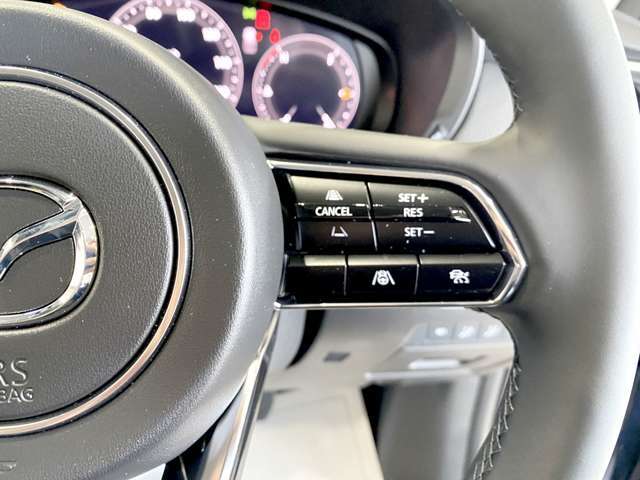 設定した速度での定速走行や、前方車との車間距離を車速に応じて一定に保つ追従走行ができる MRCC搭載車両です。