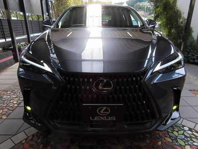 【次世代LEXUSを切り開くデザイン】：LEXUSのデザインランゲージ確立に向けた意欲作として、機能的本質や動的パフォーマンスに根差したプロポーションとテクノロジーに根差した“シンプリシティ”の追求しています。