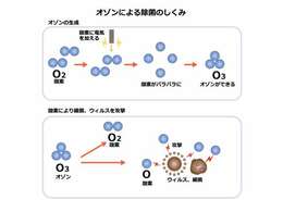 ヘッドライトクリーニング（ベースプラン）サービス施工♪車検での必須検査項目に光量検査が有ります。経年変化により保安基準不適合になる可能性が有るヘッドライトのクリーニングをサービス実施します♪