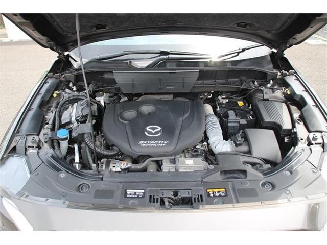 同業者様への販売はお断りさせていただきます。　車検無し車両の場合は、車検を取得したお支払い総額で表示しております。