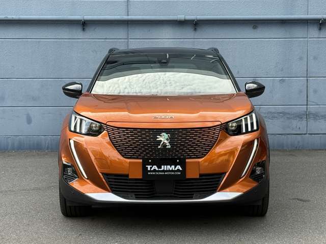 EVモデル専用のボディ同色カラードグリル