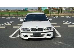 キレイなアルピンホワイト